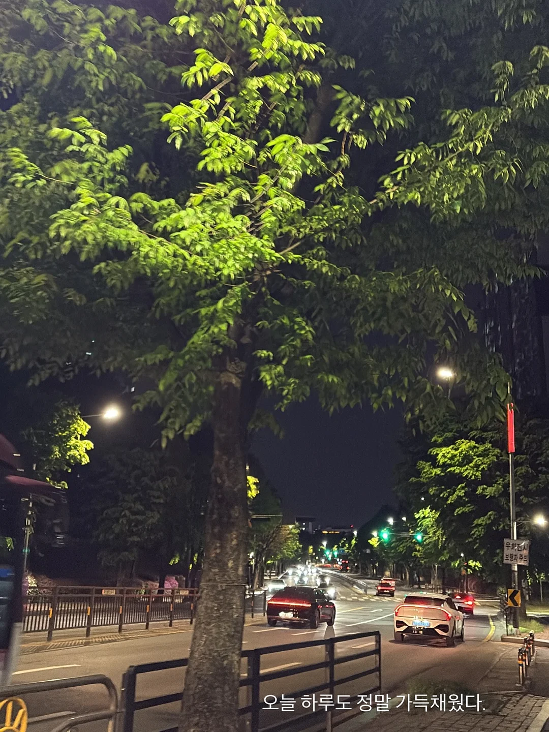 벨라 골지 티셔츠 15