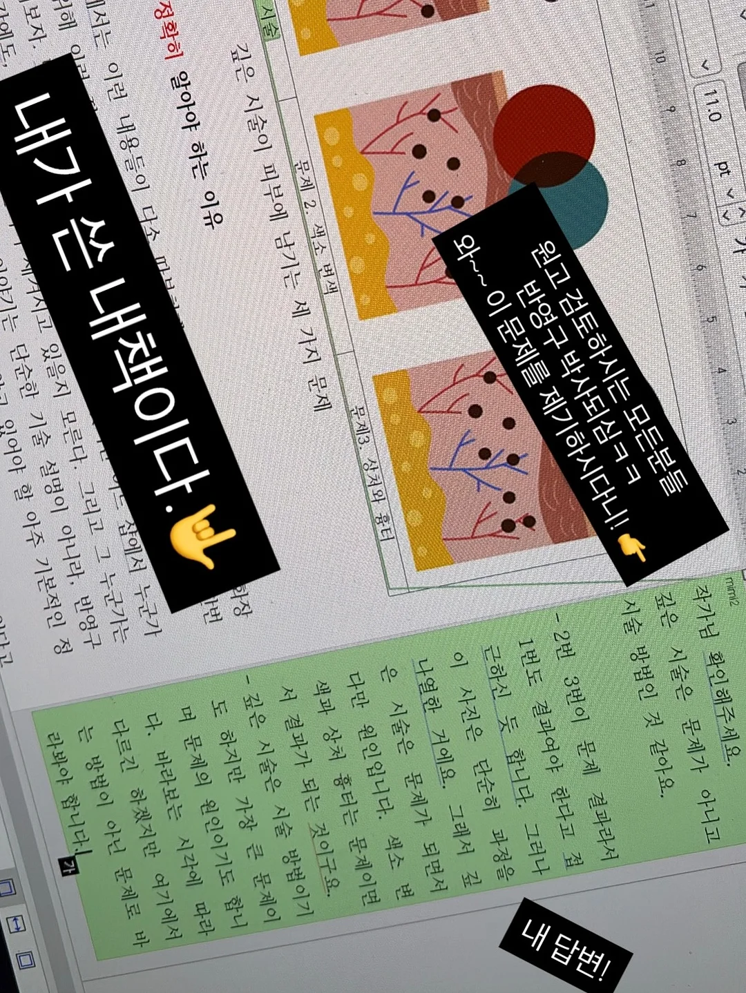 벨라 골지 티셔츠 8