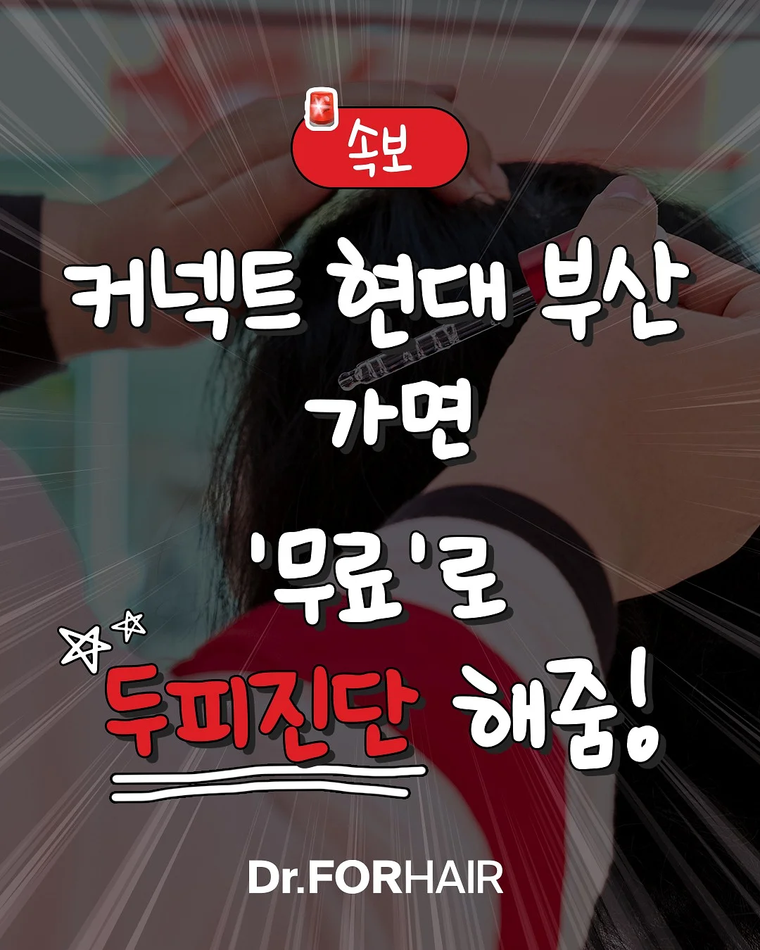 화이트리에 생식빵 860g 1