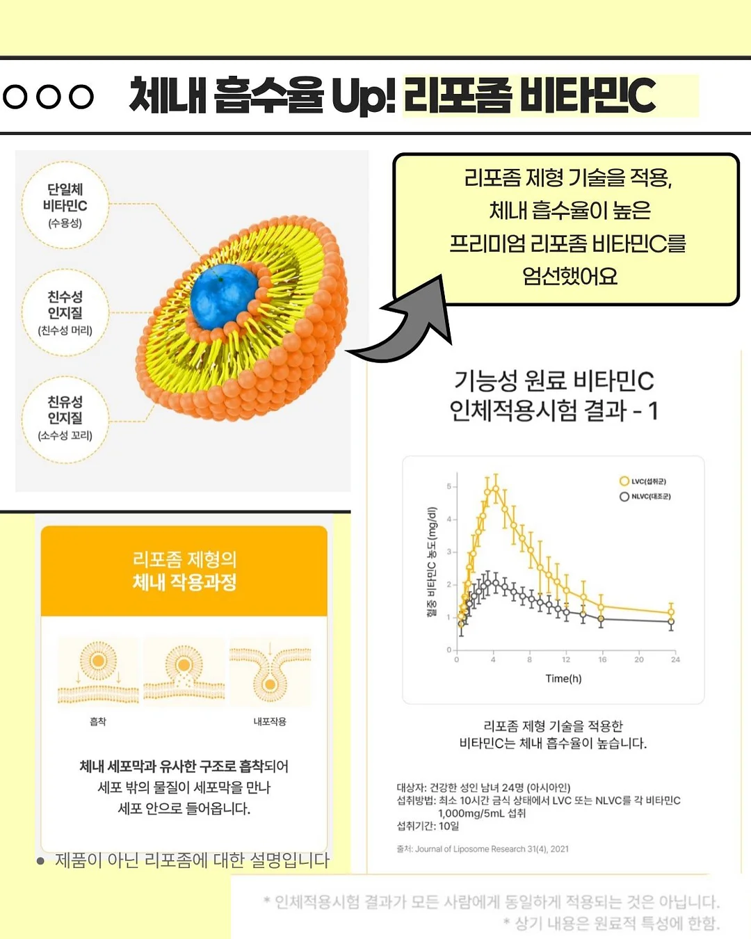 푸인 플리츠 펀칭 반팔 블라우스 6