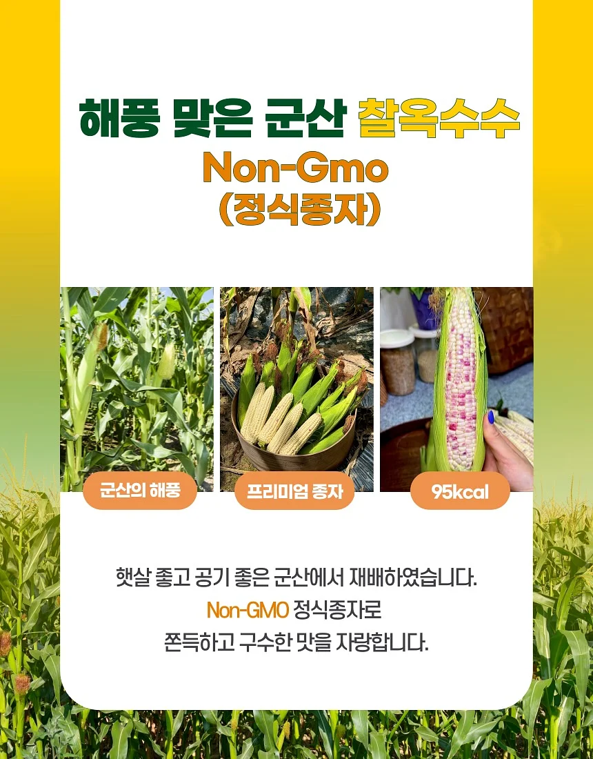 누브라 2