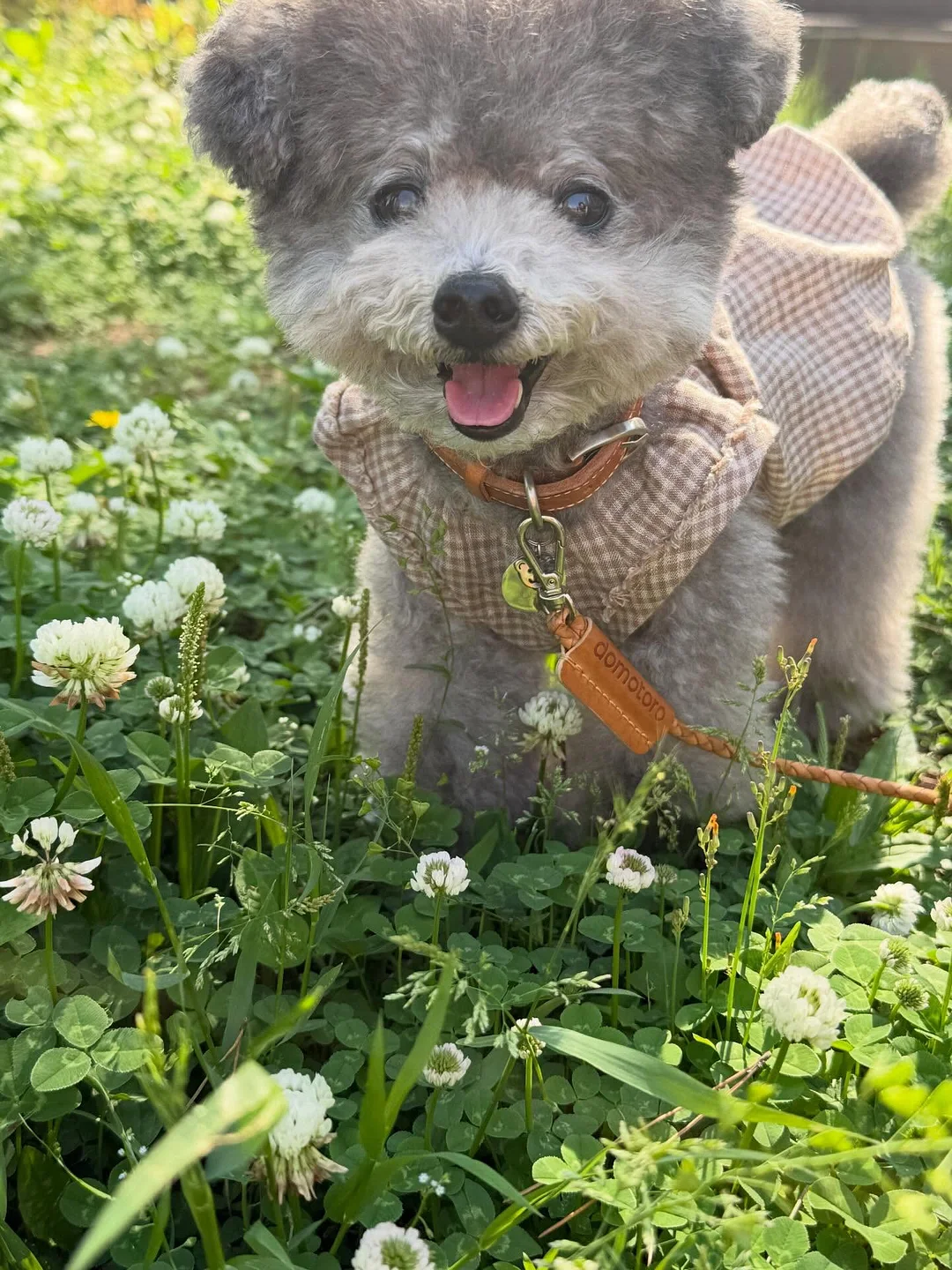 Bosco Bag Beige 4