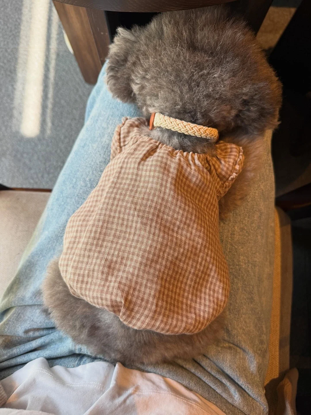 Bosco Bag Beige 6