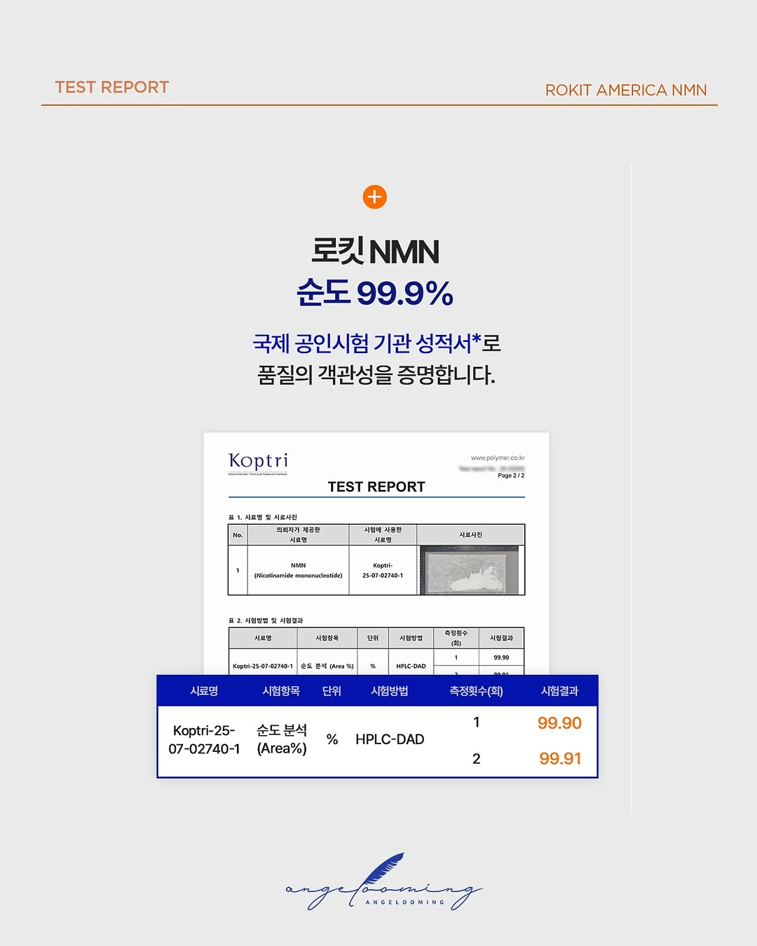 보니토 서핑도그 티셔츠 11