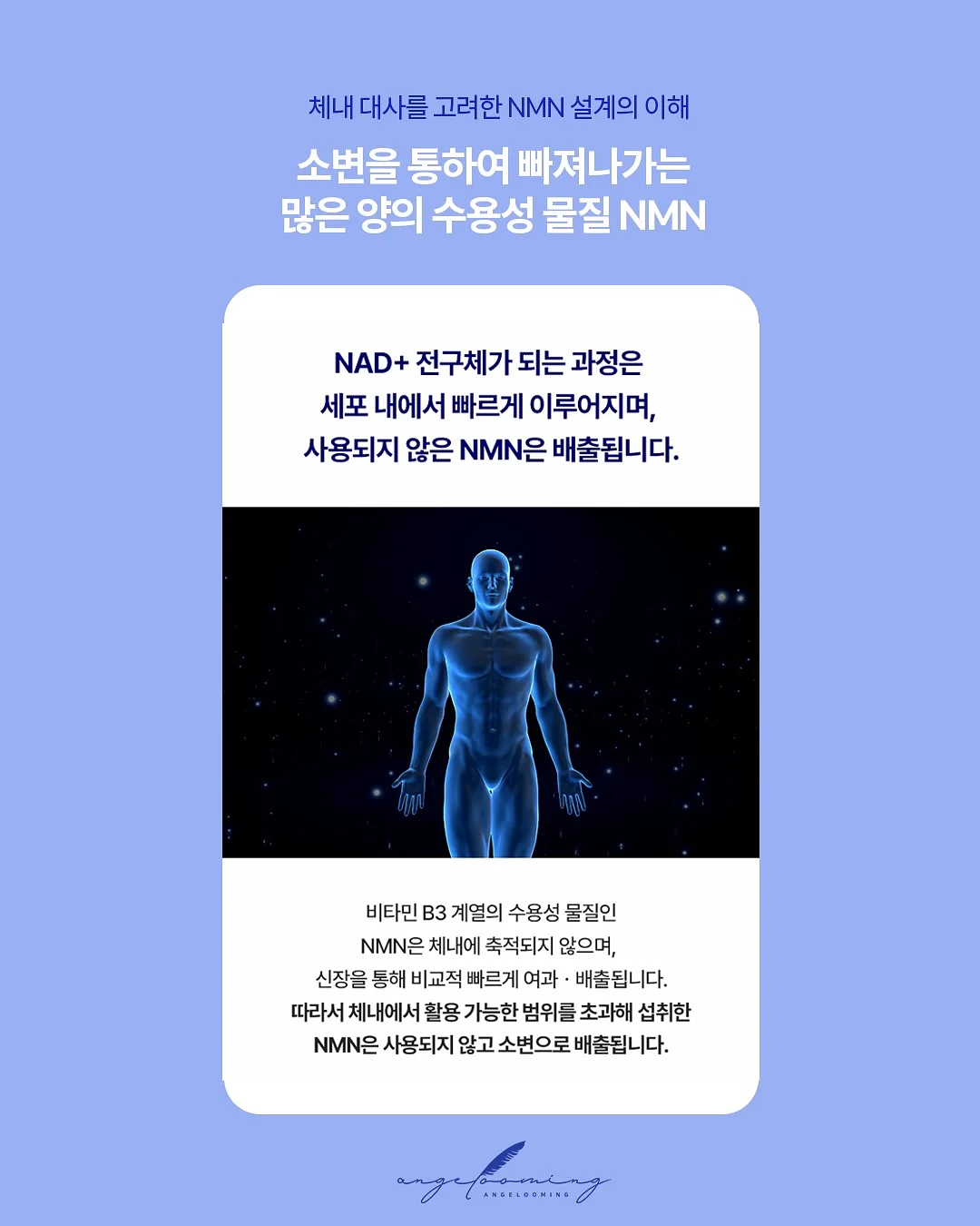 보니토 서핑도그 티셔츠 4