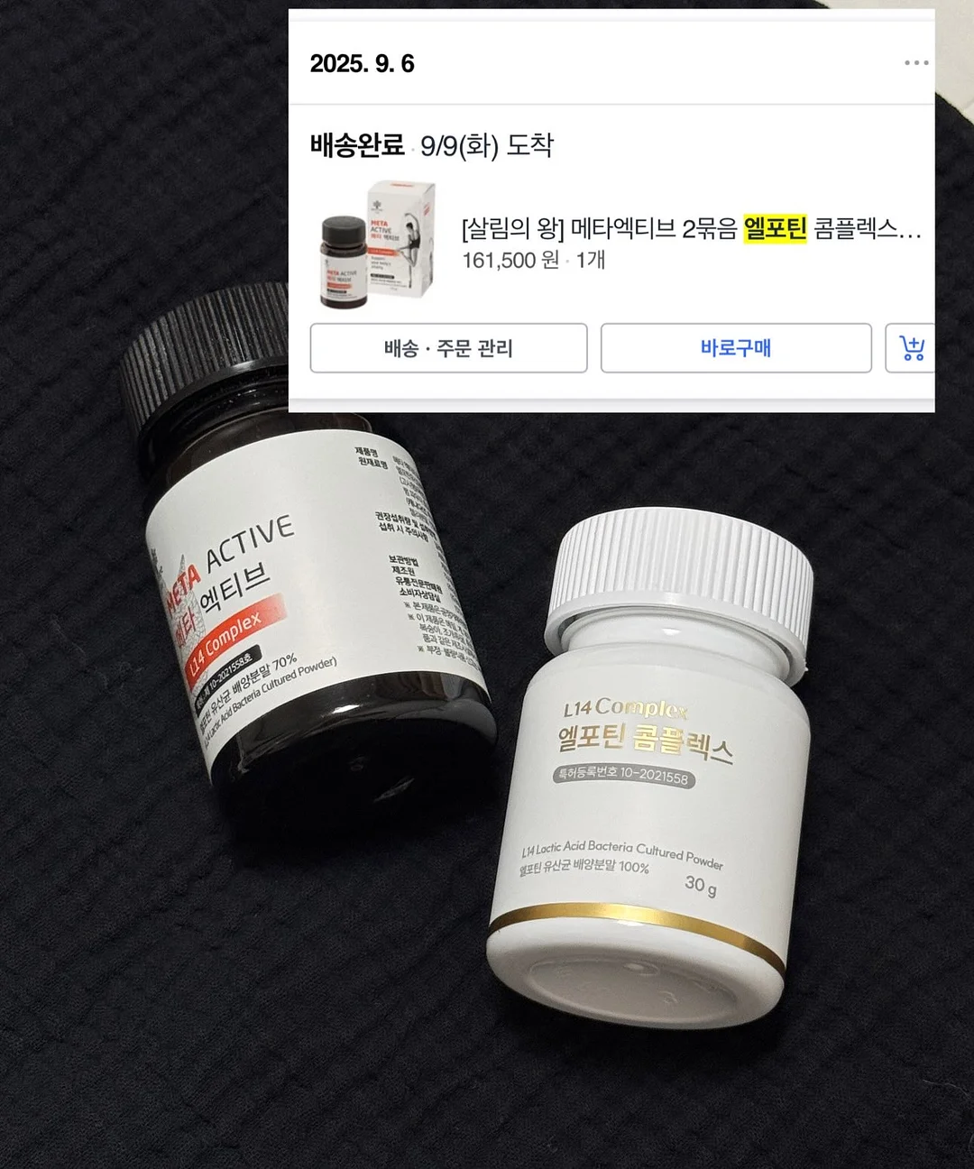 실바니안 동물 친구들 1