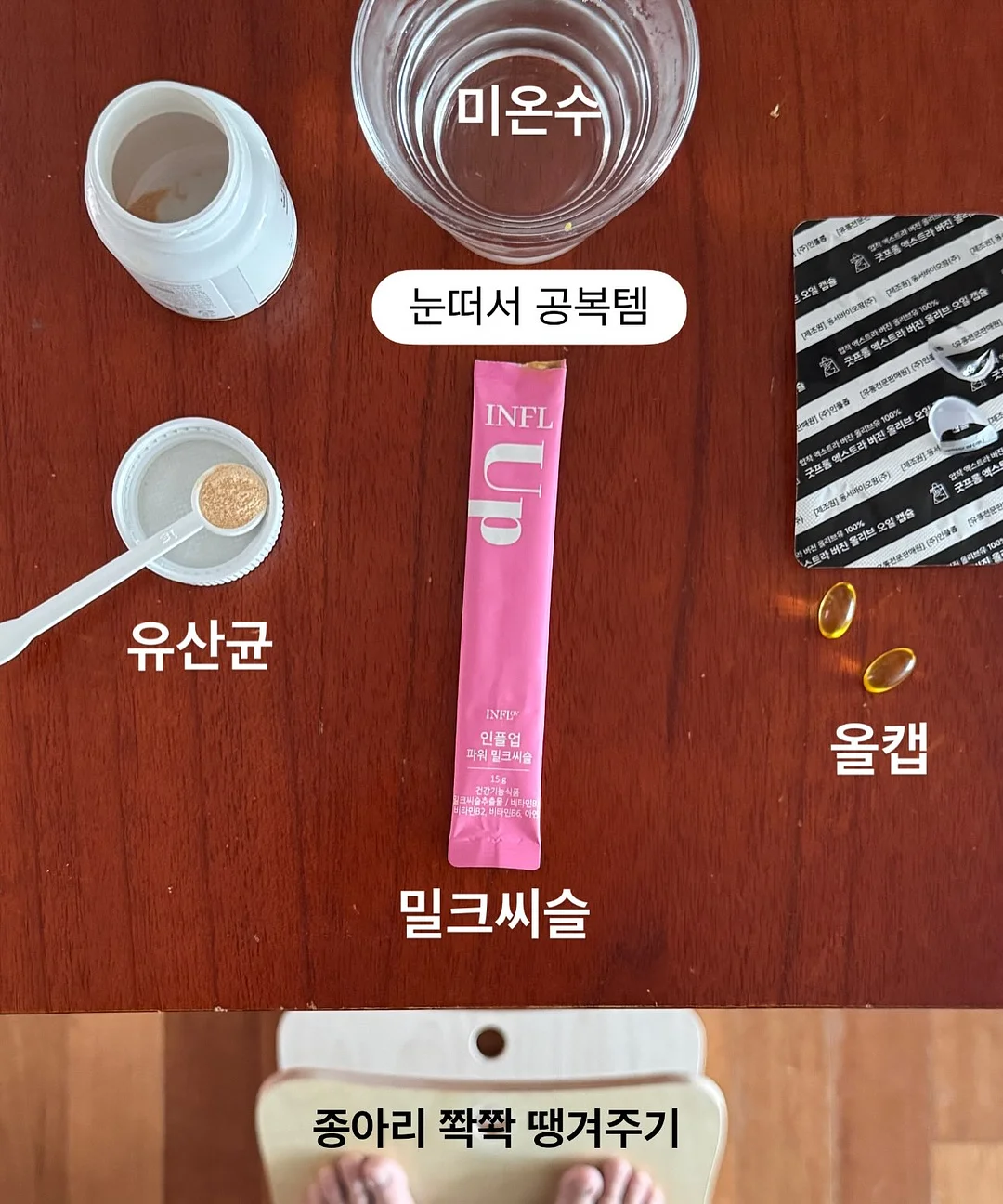 실바니안 동물 친구들 4