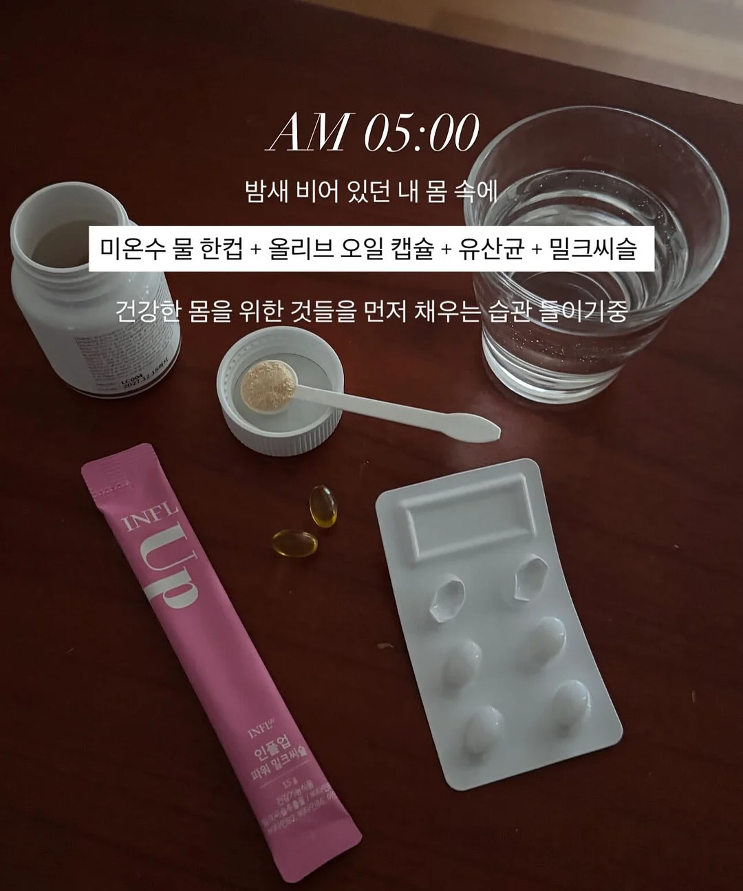 실바니안 동물 친구들 5