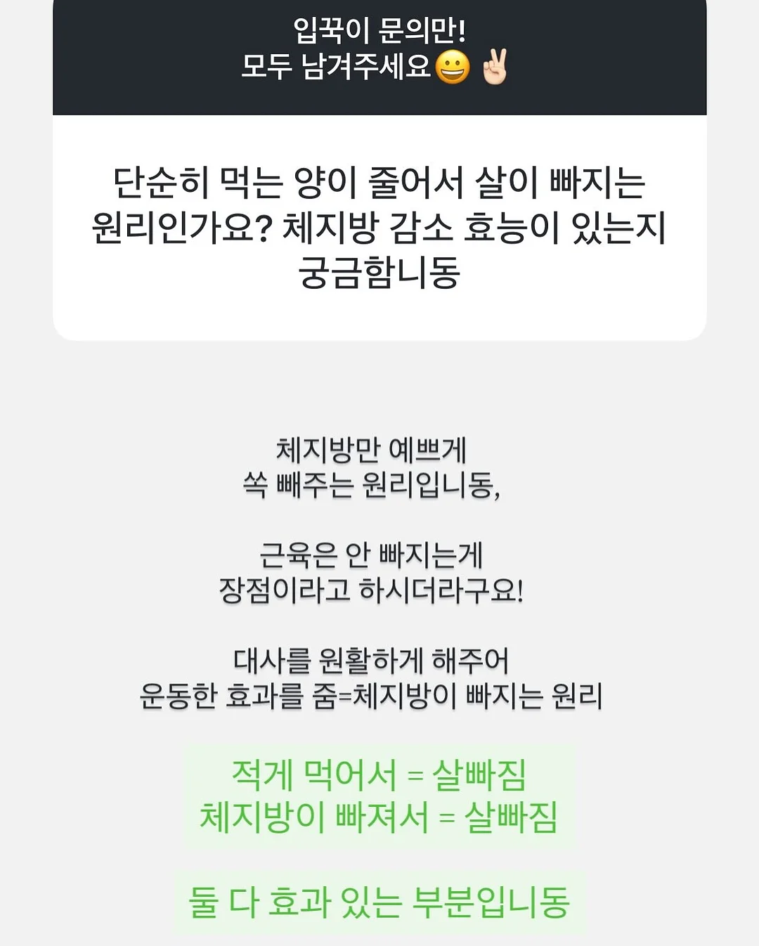 자석 방충망 7