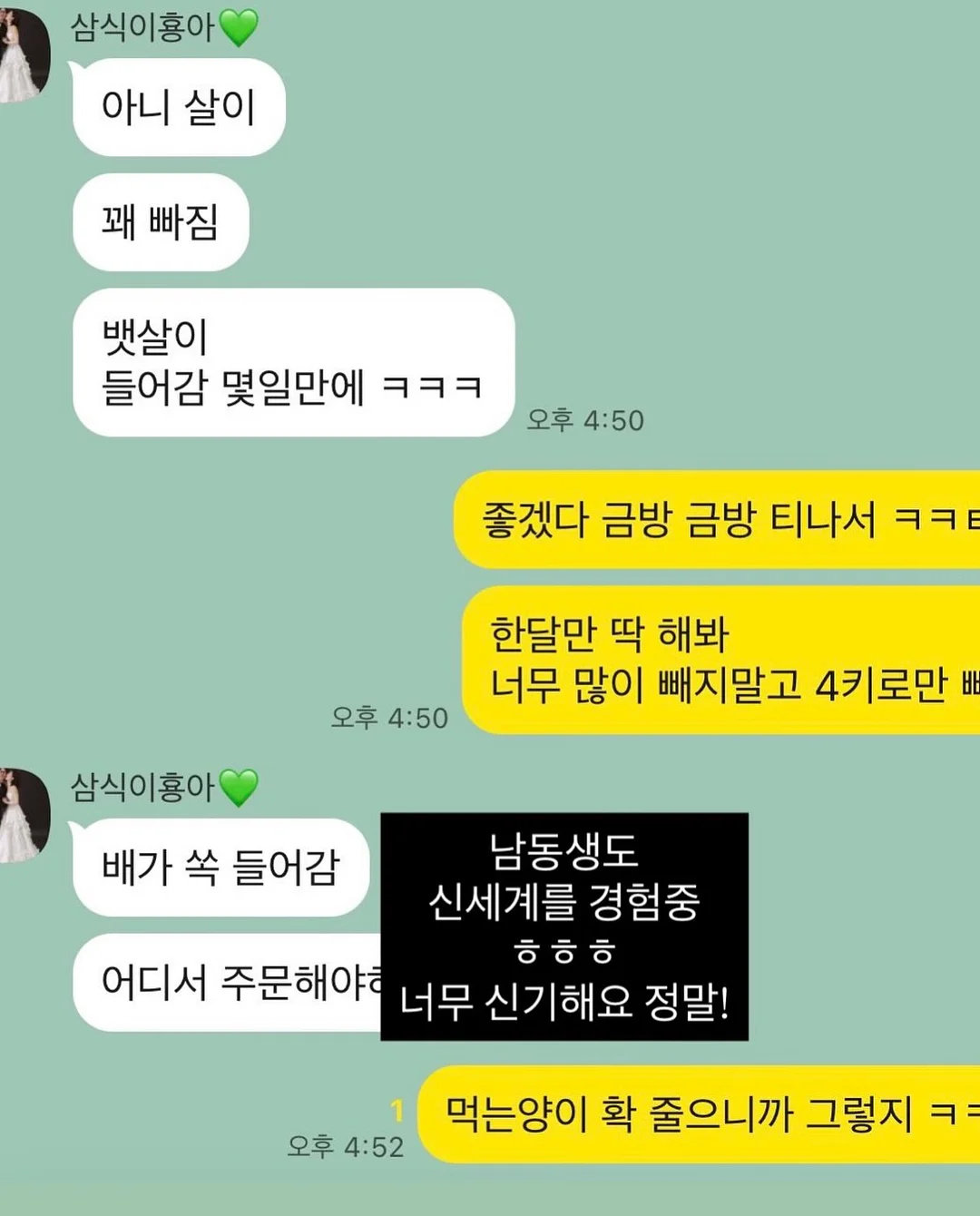 자석 방충망 8