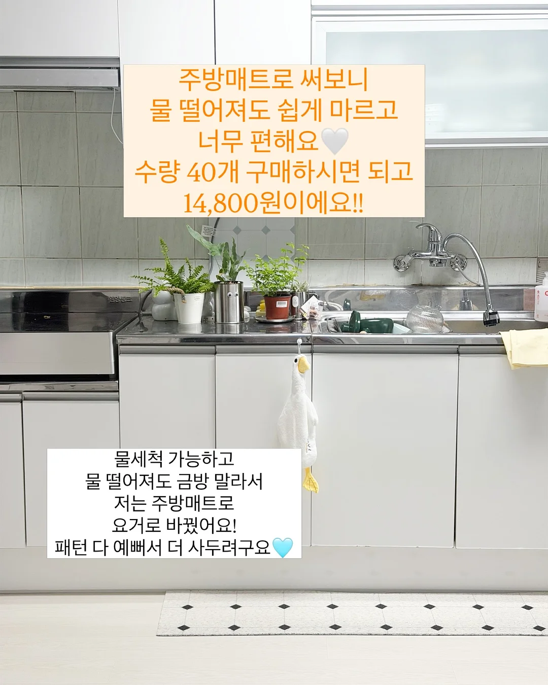 파인샤베트 제로바 1