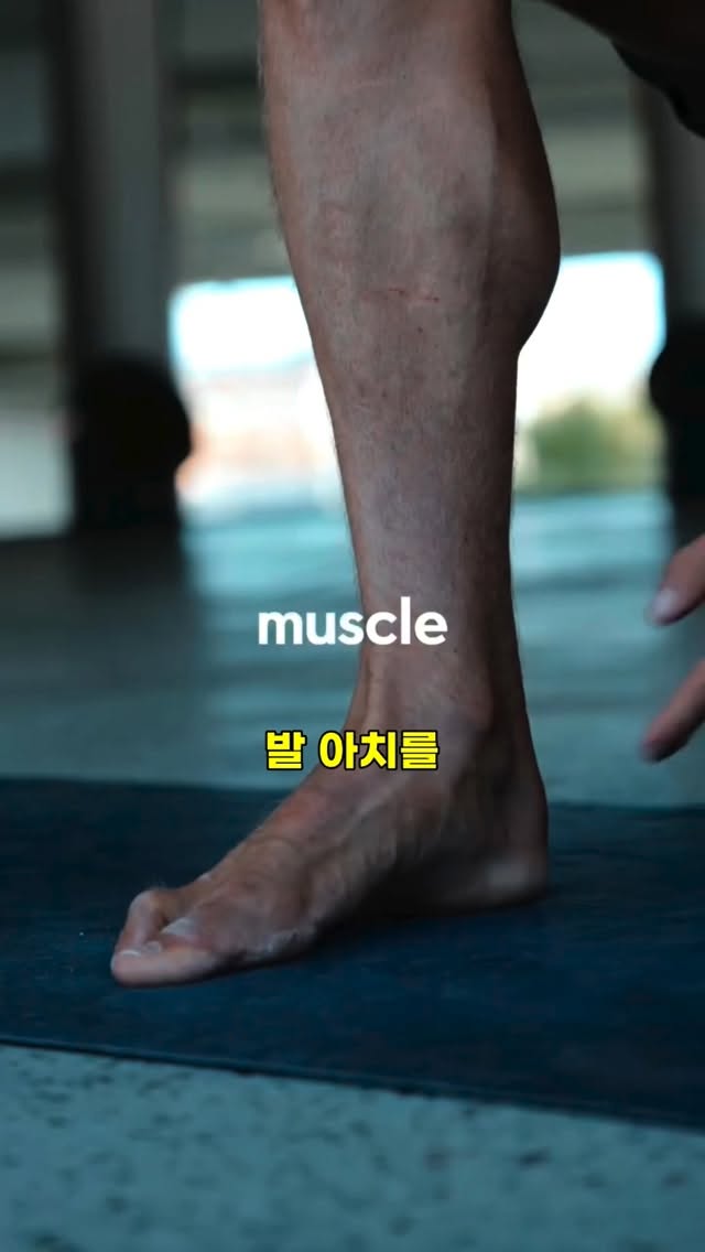 보틀트리