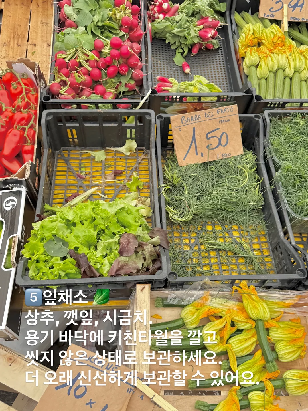 목소리 코칭 6