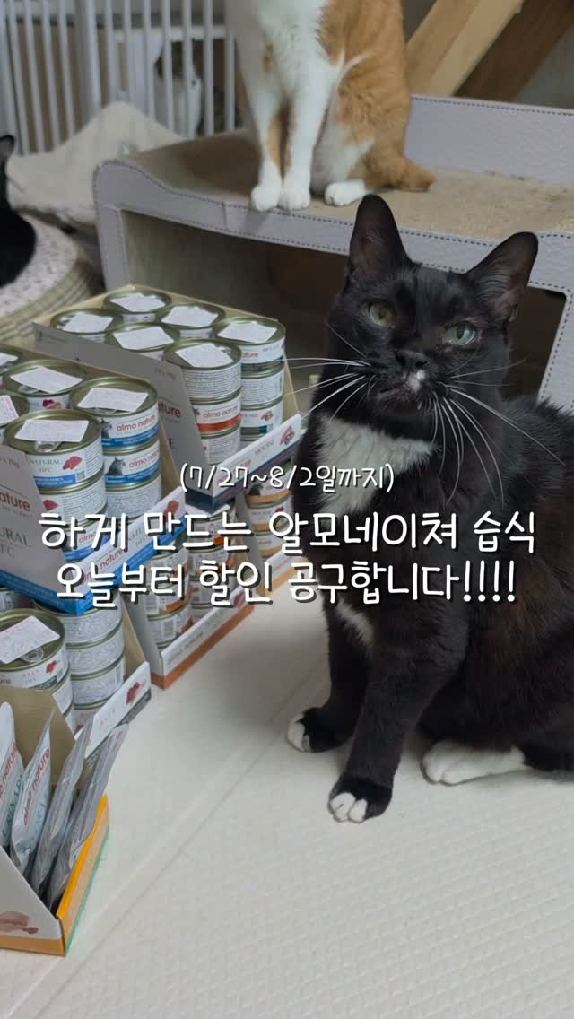 헤어 트리트먼트