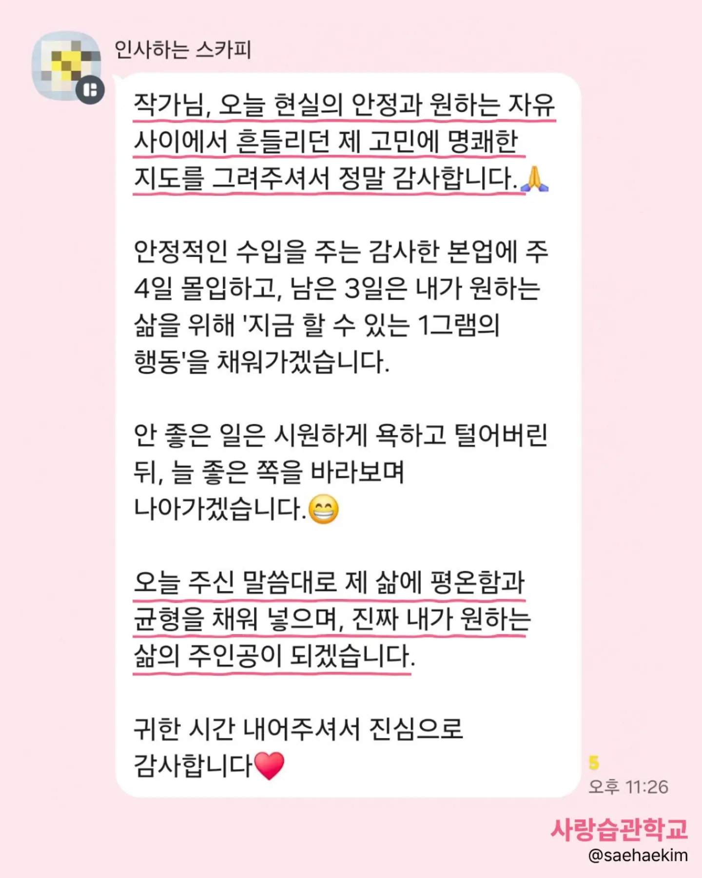주술회전 나의 히어로 아카데미아 체인소맨 캐릭터 생리대 2
