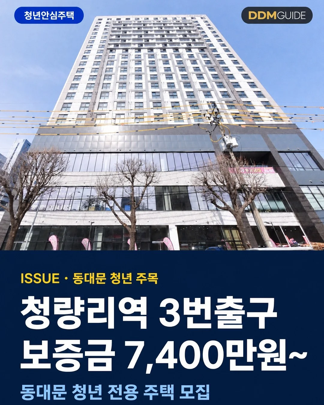 뉴7부레깅스 1