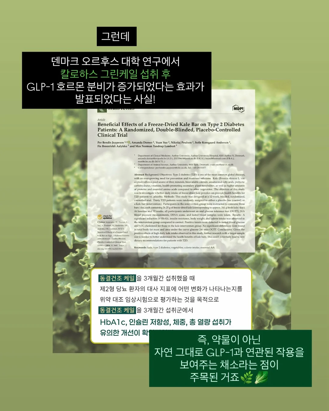 5중직 거즈 키친크로스 5