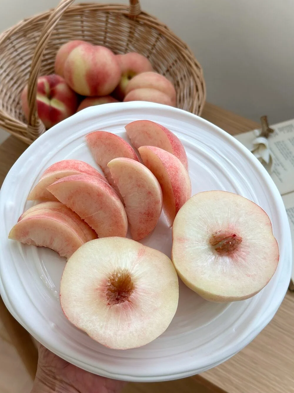 컬러 팝 팬츠 4