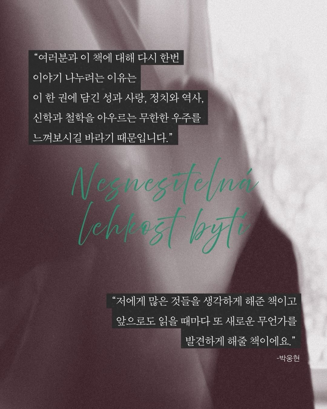 화이트 브라 7