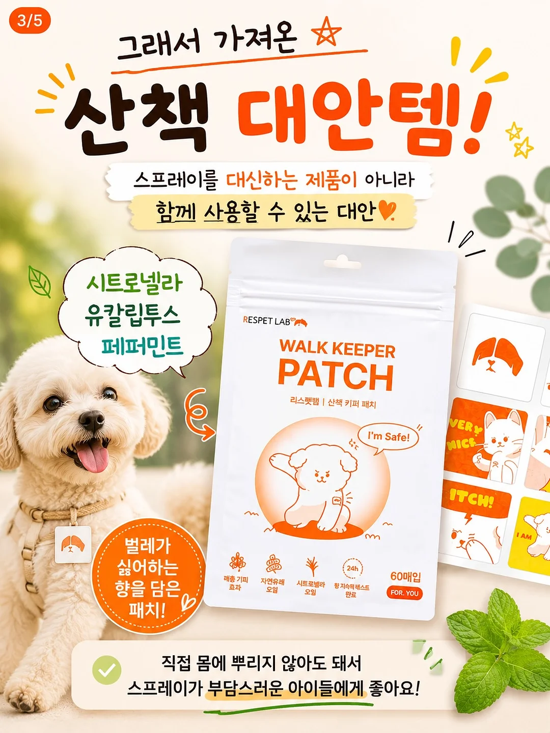 쇼펜하우어 인생 수업 3