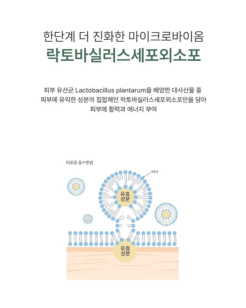 휠너트 토크 증폭 공구 15