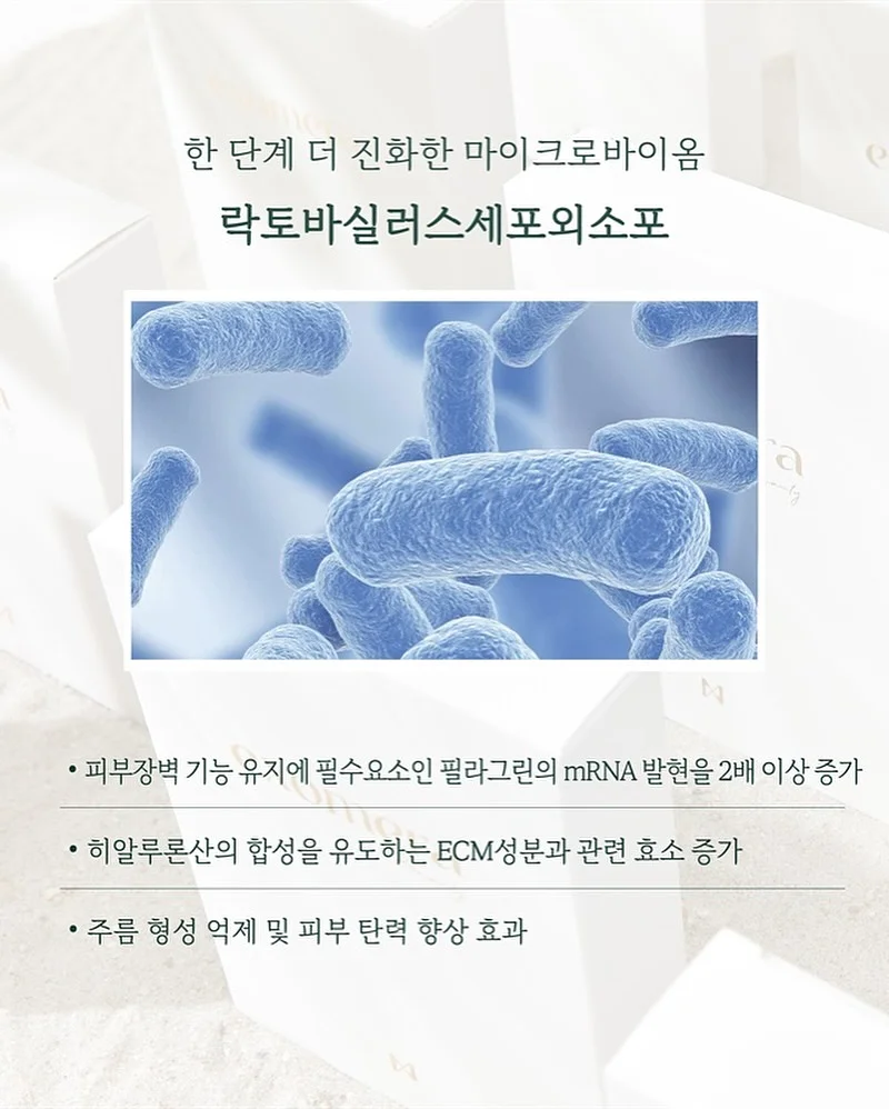 휠너트 토크 증폭 공구 6