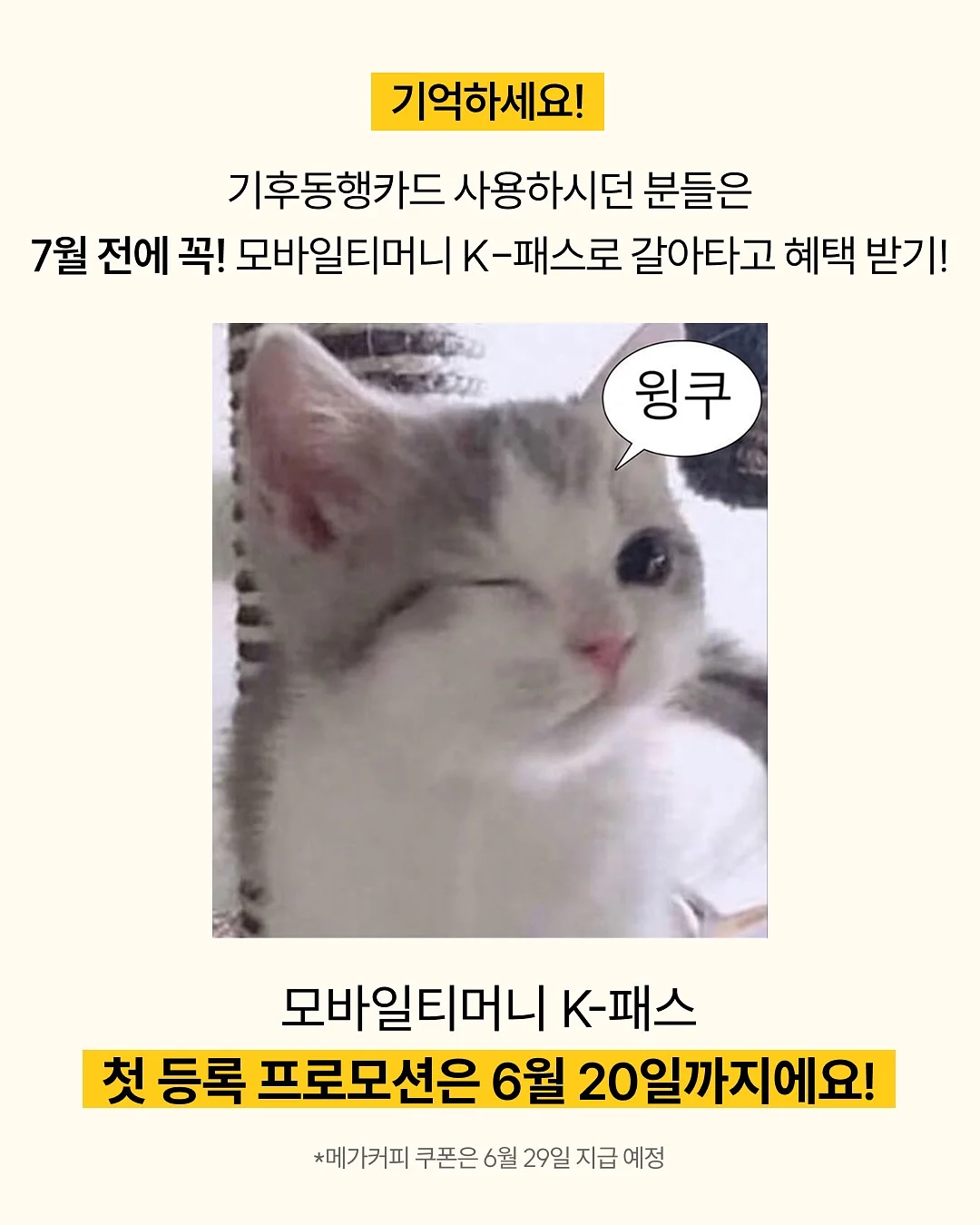 소분 용기 6