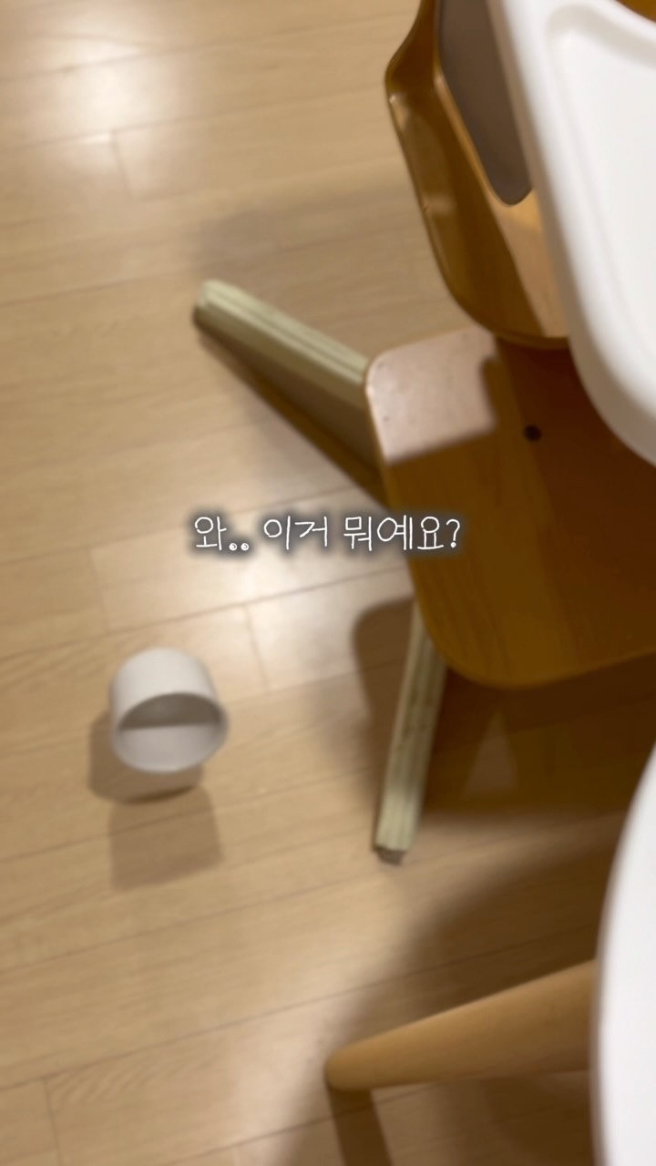 과일젤리
