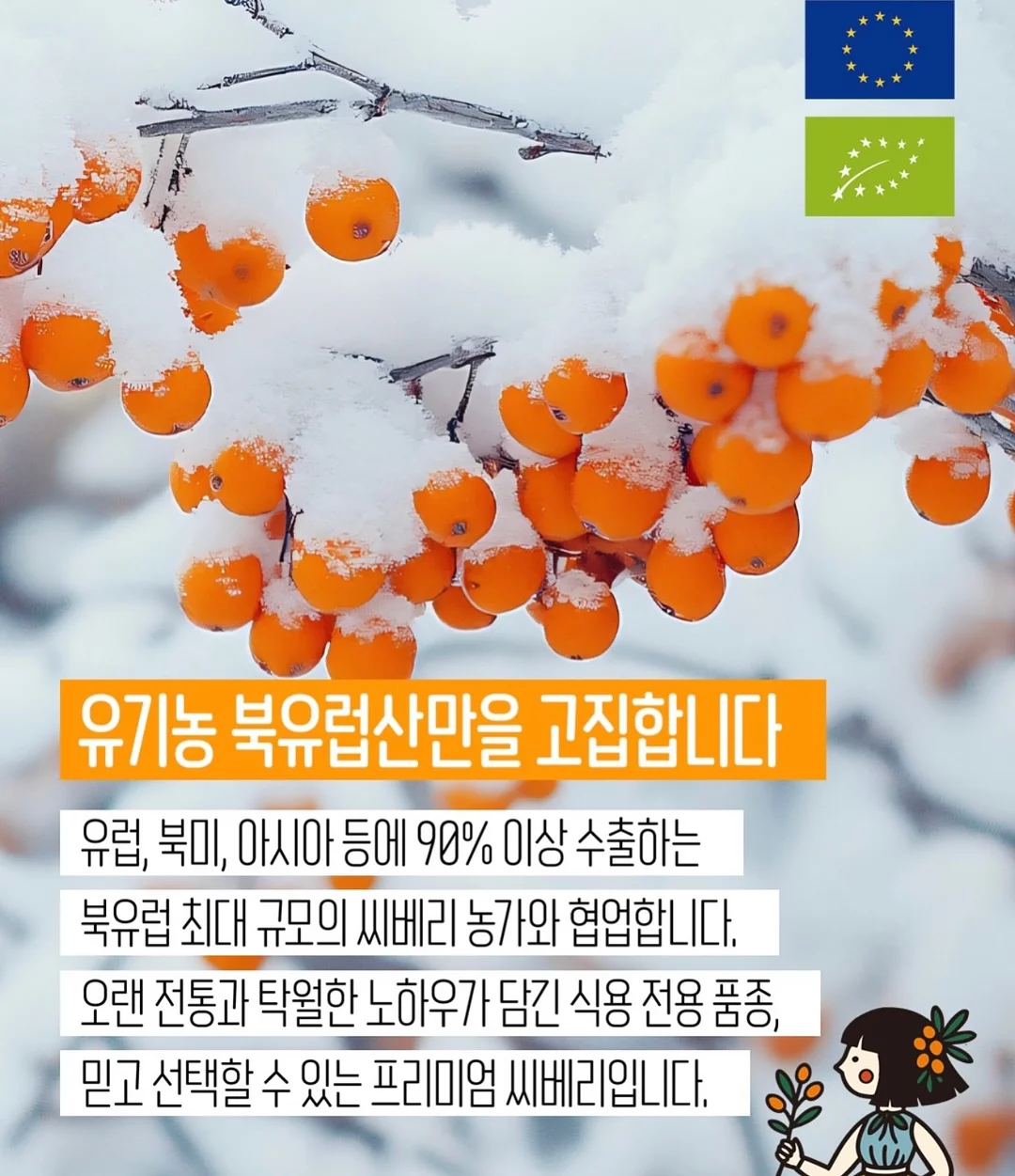 노모어댄 캐리어 11