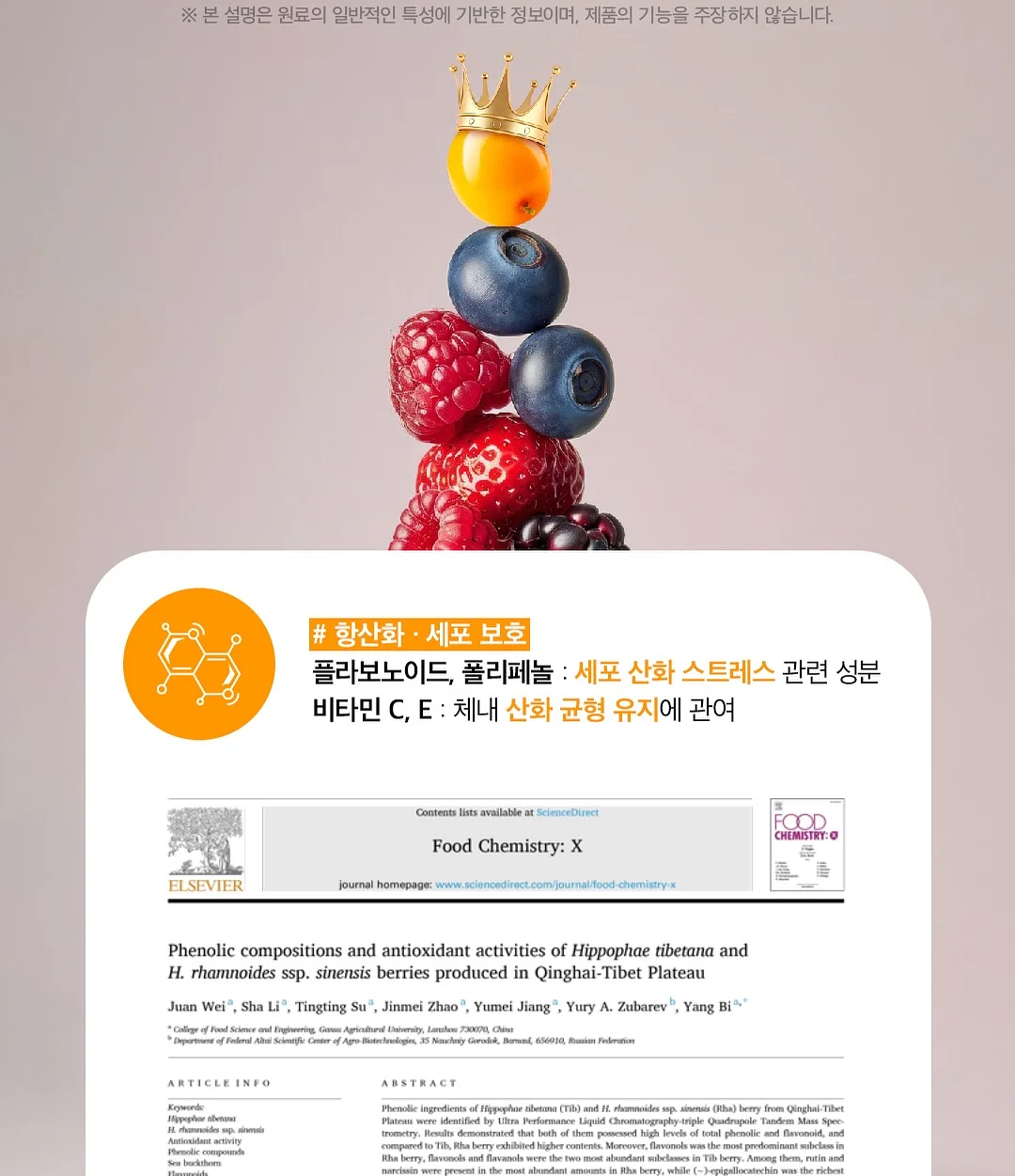 노모어댄 캐리어 13