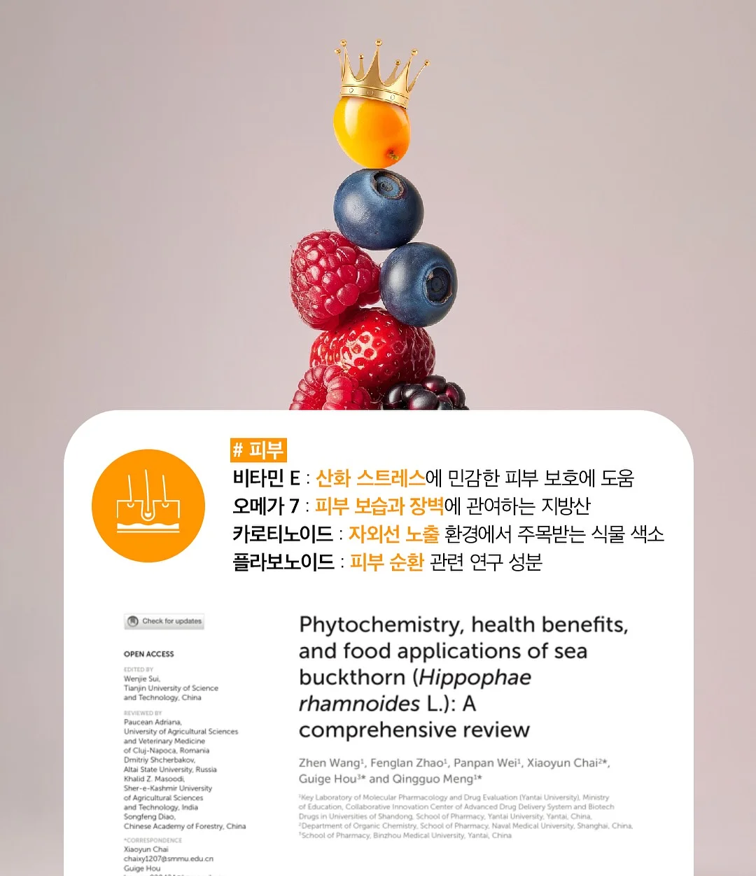 노모어댄 캐리어 14
