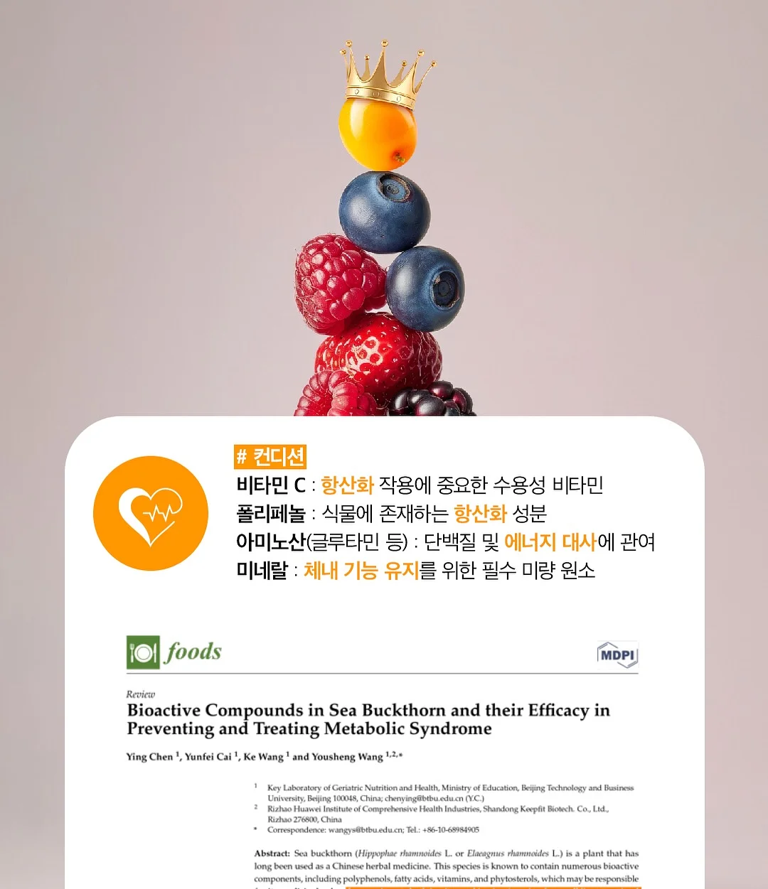노모어댄 캐리어 15