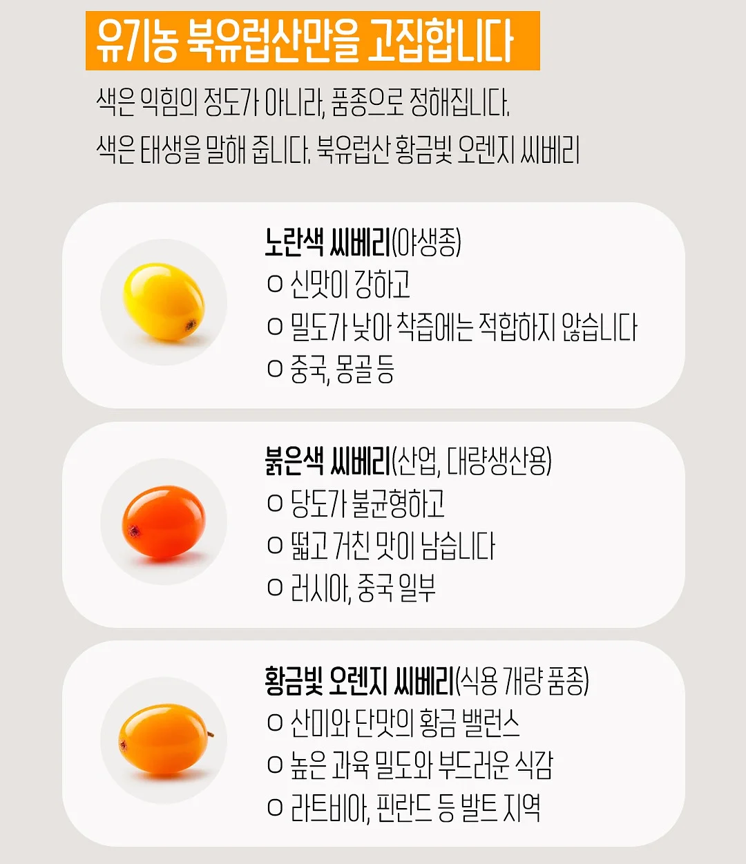 노모어댄 캐리어 17