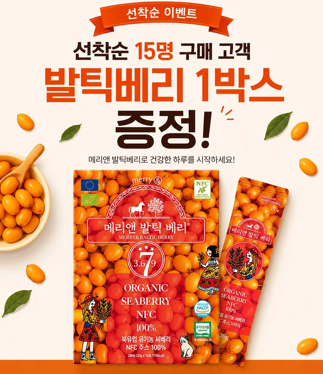 노모어댄 캐리어 19