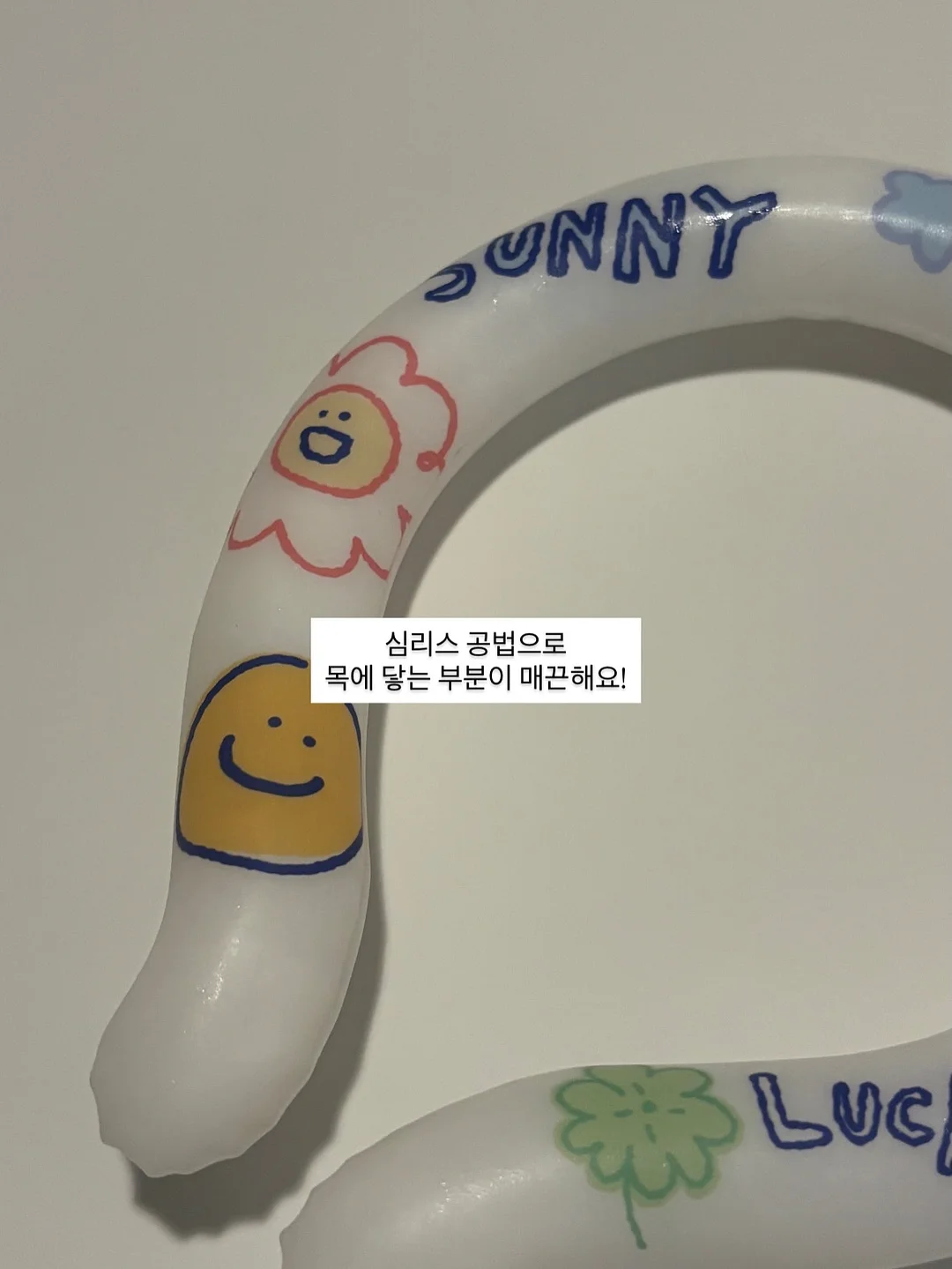 프리미엄 과일 11