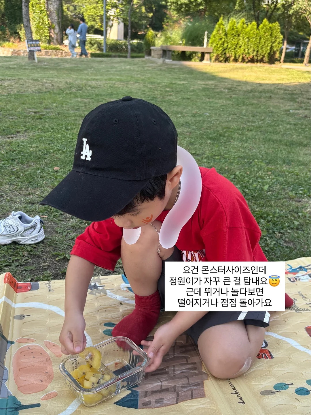 프리미엄 과일 5
