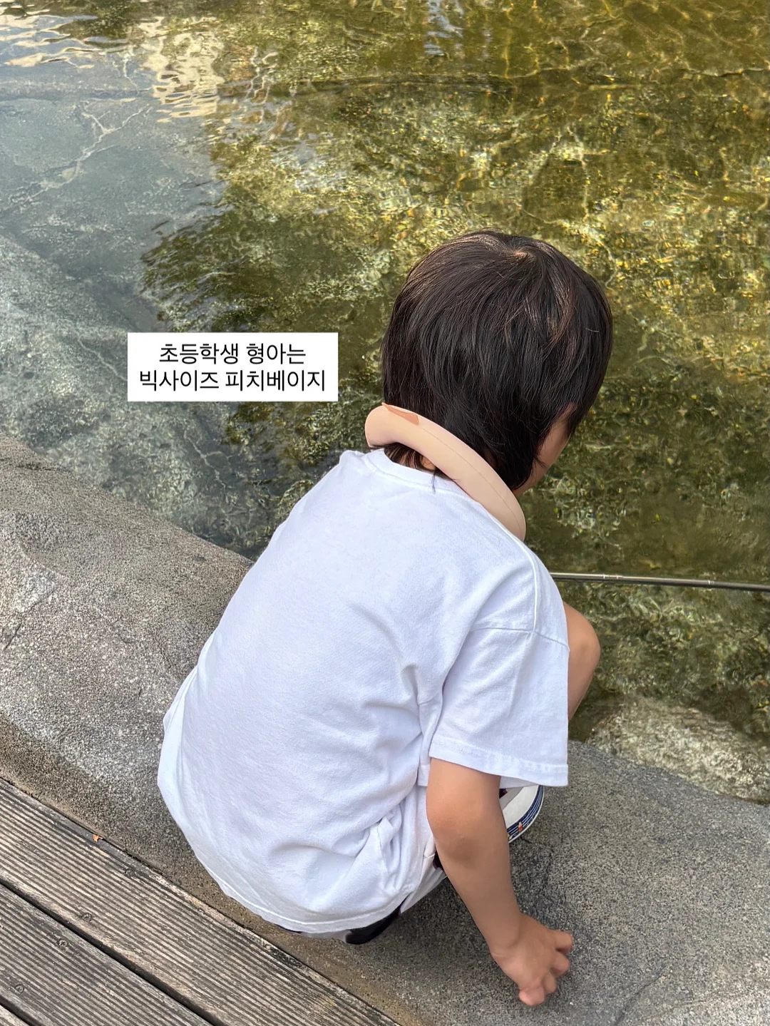 프리미엄 과일 7