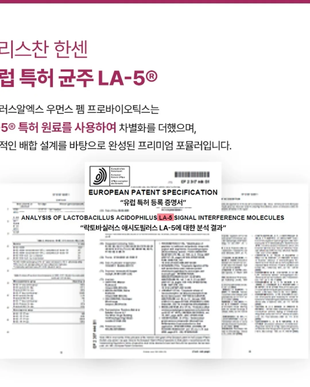 발앤체인 페코짱 콜라보 5
