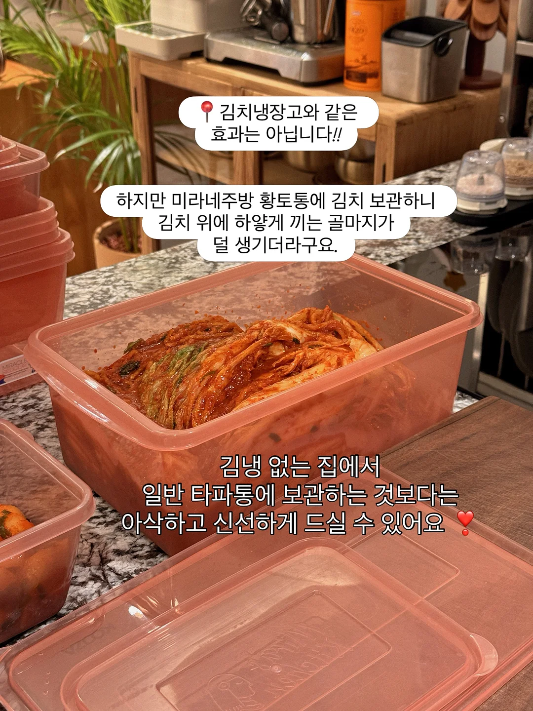 단호박식혜 8