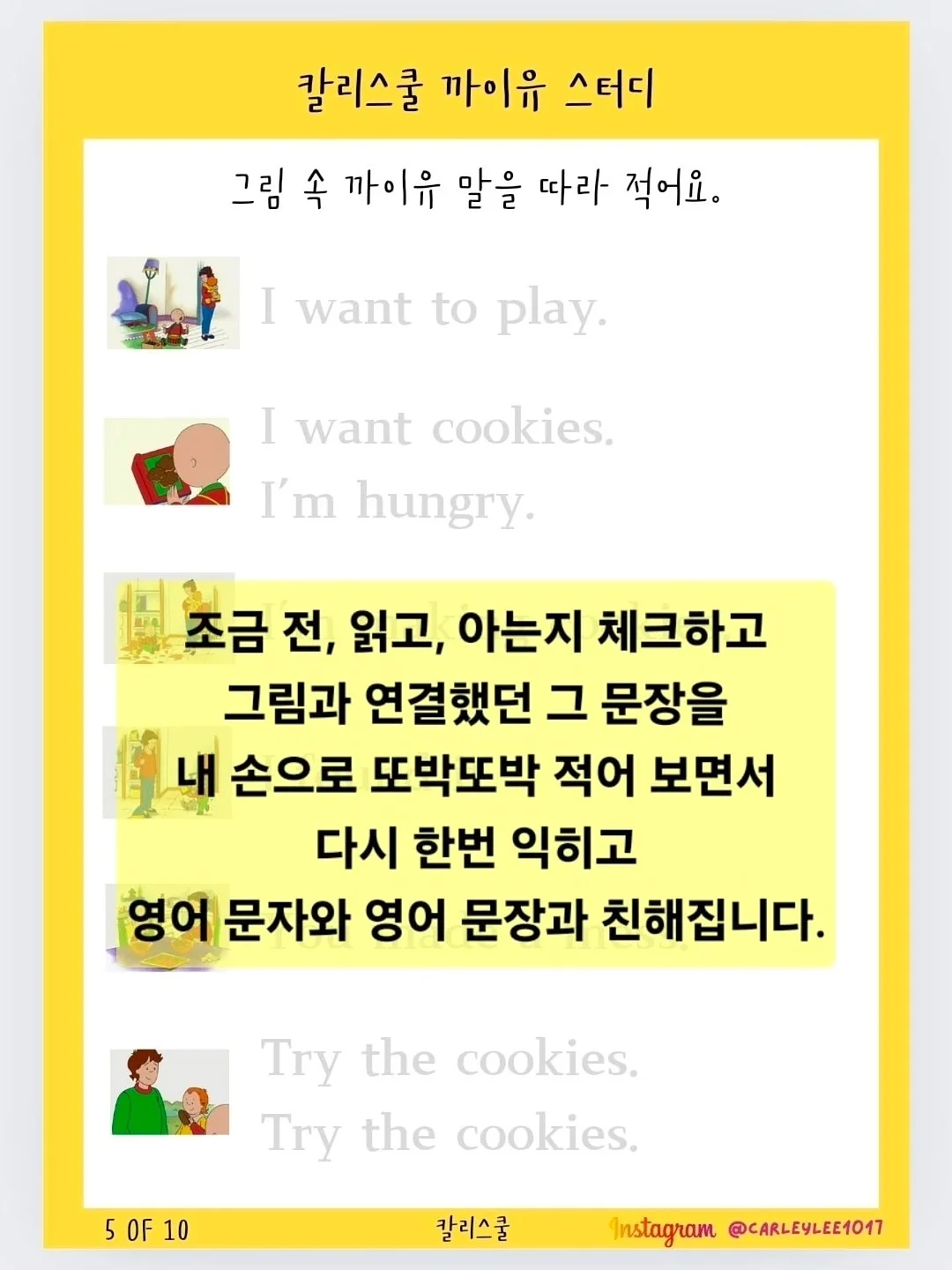 라클리어 효소파우더 5