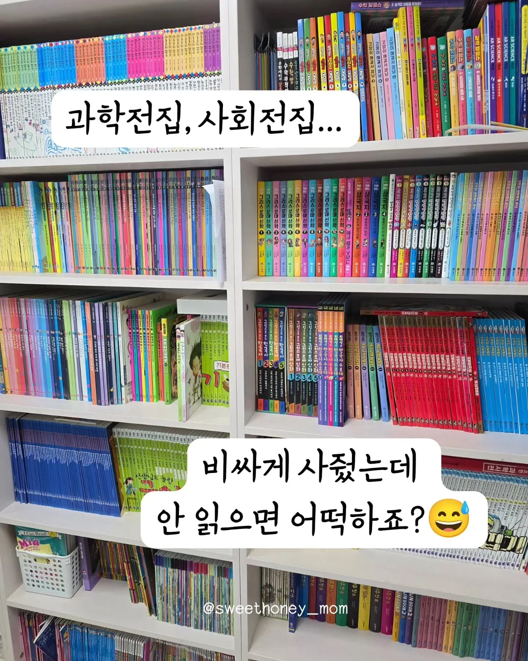 로제코 자동급식기 2