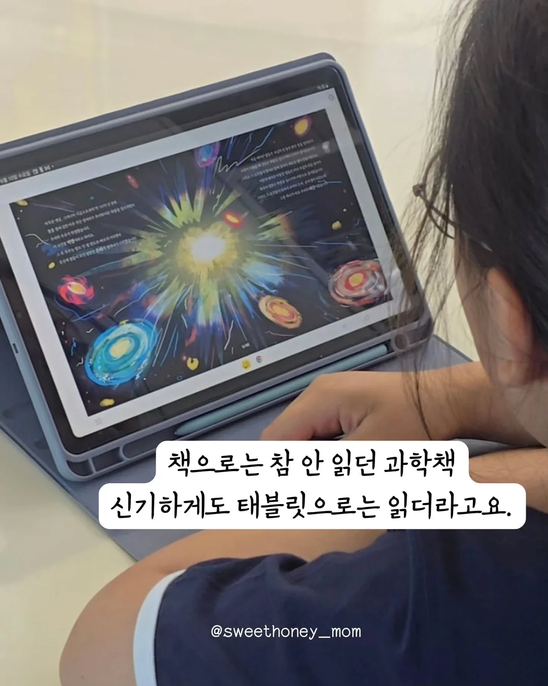 로제코 자동급식기 6