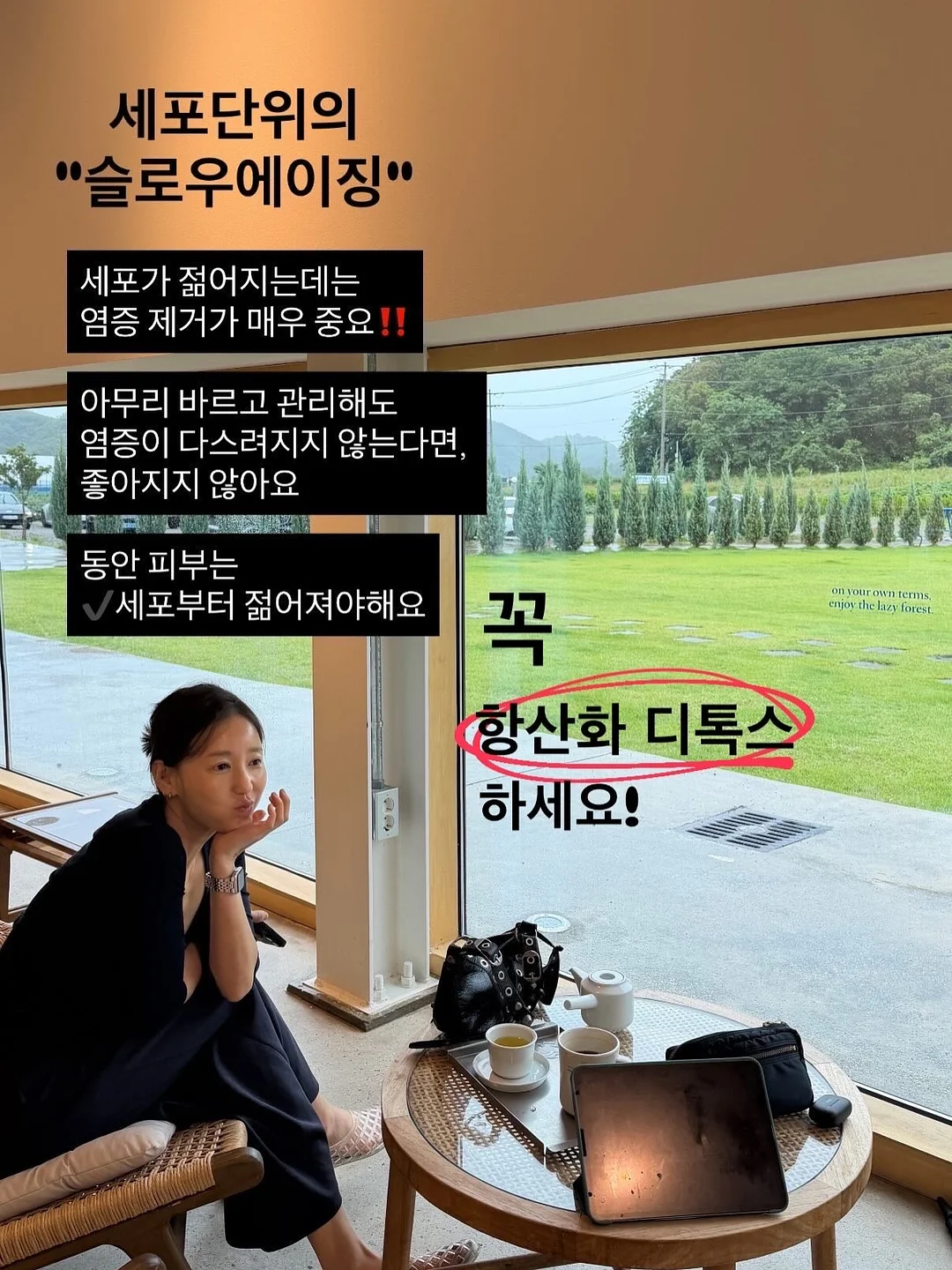 단발 허쉬컷 & 태슬컷 교육 12