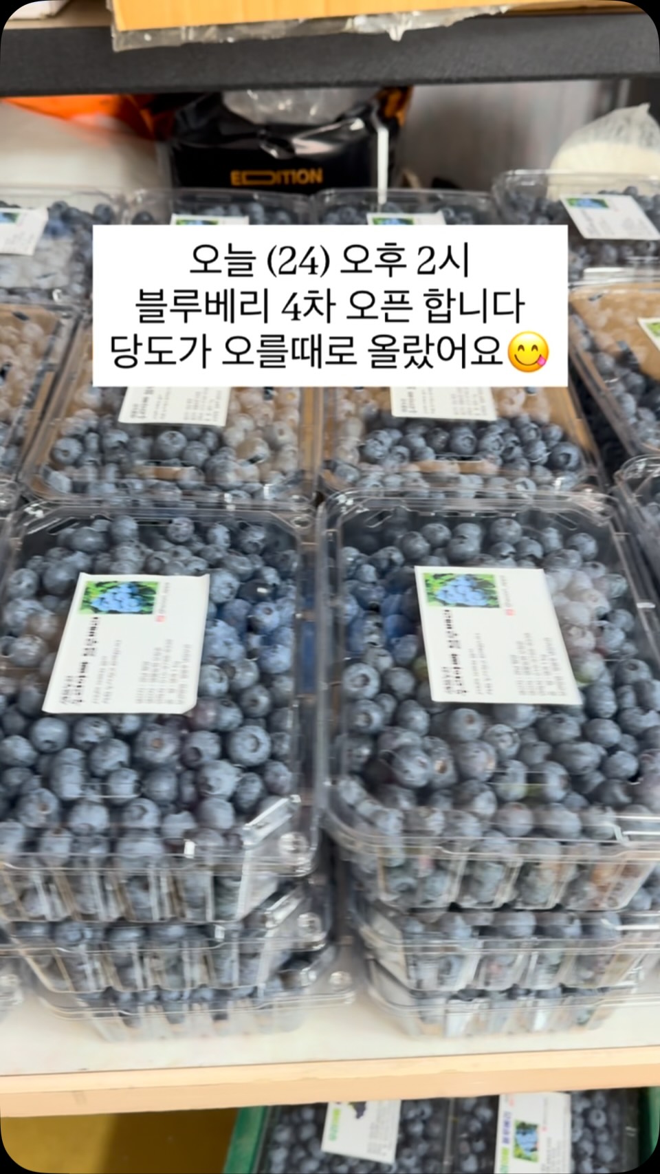 엘린블라우스