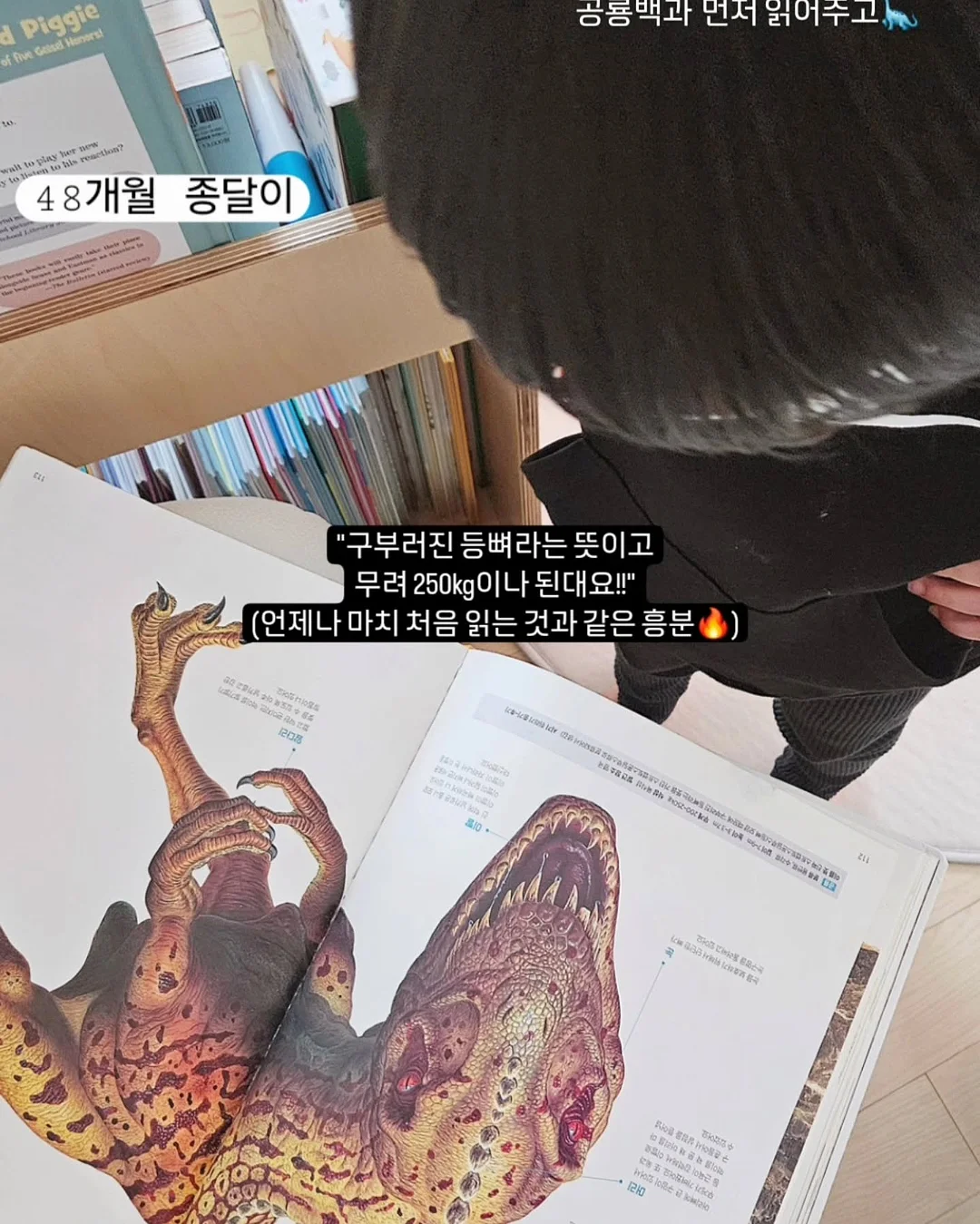 테비네리 빅 웨이브 컵 11