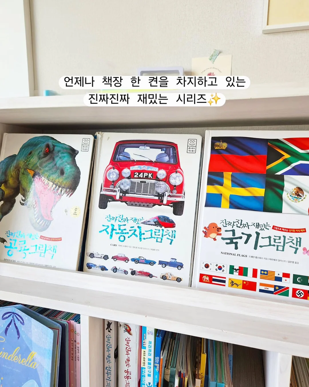 테비네리 빅 웨이브 컵 13