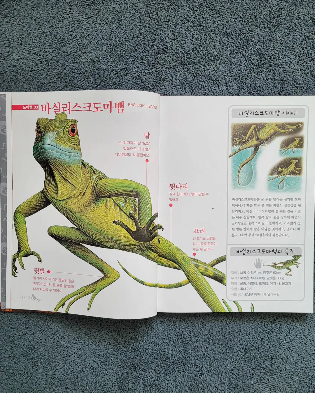 테비네리 빅 웨이브 컵 19