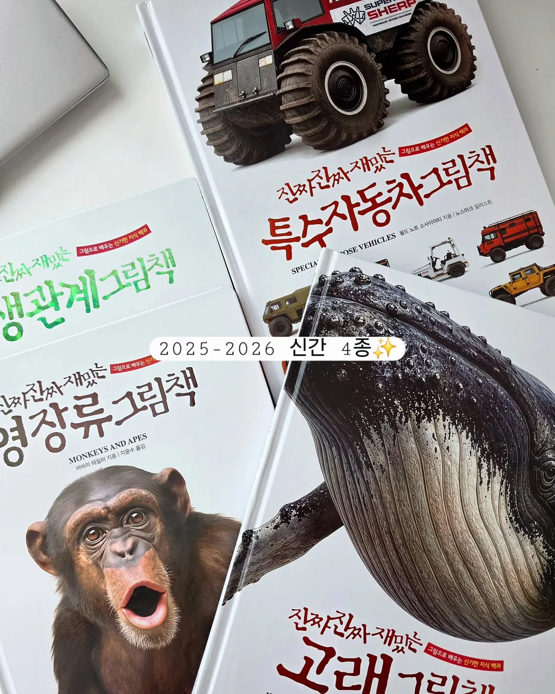 테비네리 빅 웨이브 컵 6