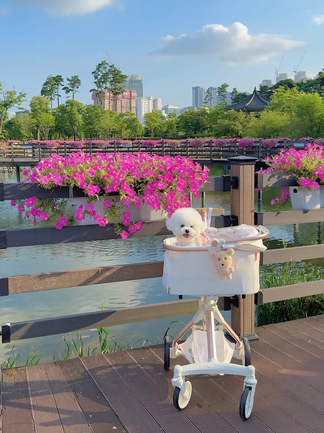 흠집 보수제 1
