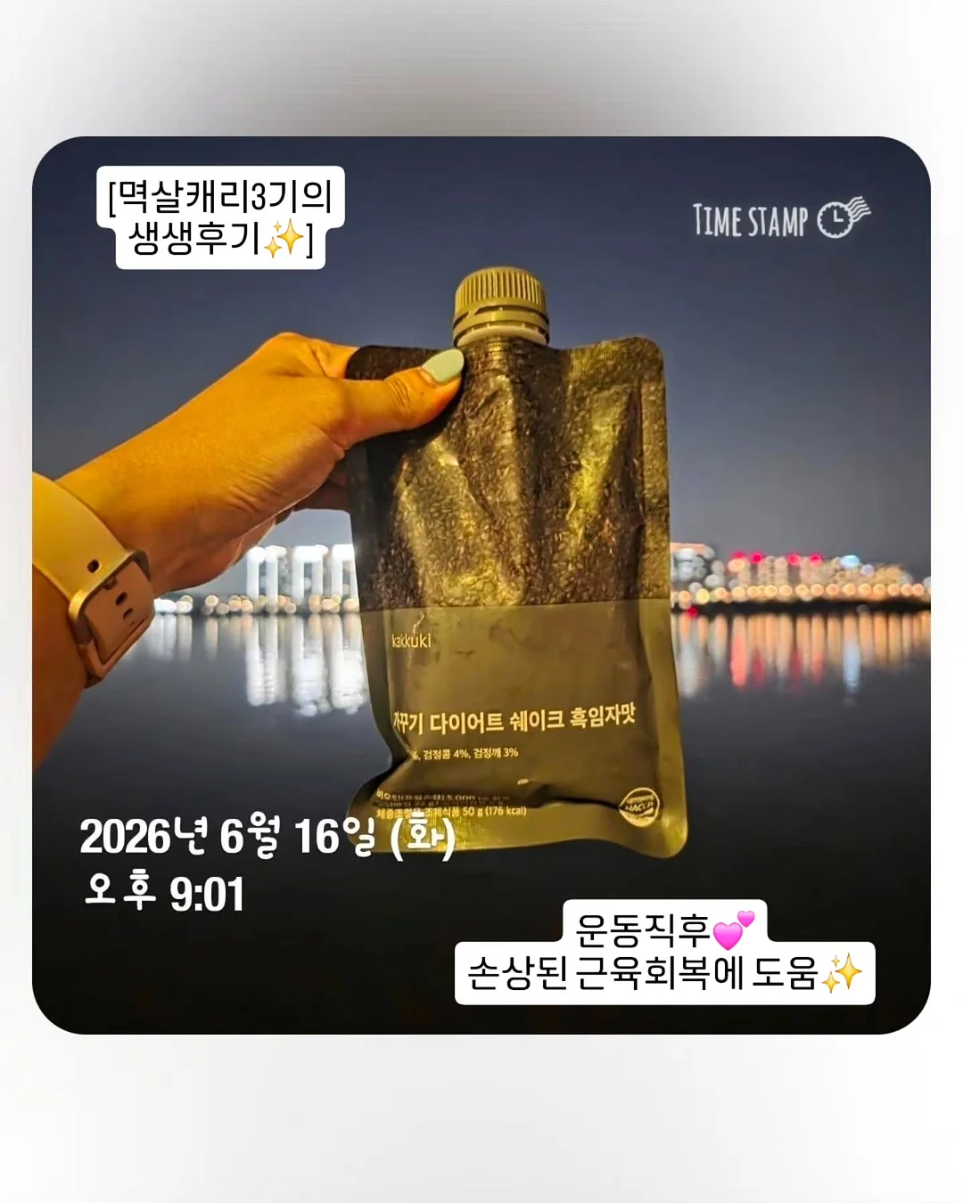 가을/할로윈 환경구성품 2